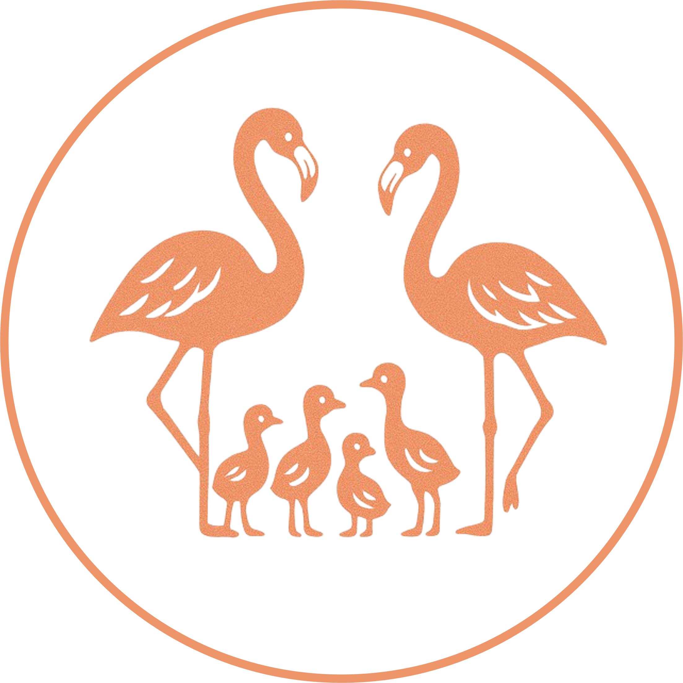 Six Flamingos
